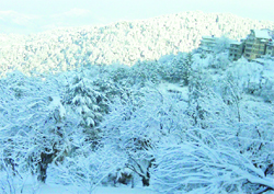 Chail town covered under a white sheet of snow