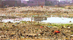 Garbage dumped near Lohara Road in Ludhiana.