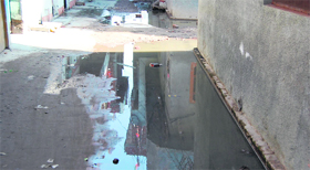 Sewer accumulates on a street at Avtar Avenue in the constituency.