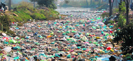 The clogged ganda nullah at the Medical Enclave area in the constituency is a breeding ground of problems.