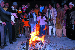 Residents of Panchvati Nagar celebrate Lohri in Bathinda on Friday