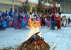 Lohri celebrations in full swing at the RB DAV Senior Secondary Public School in Bathinda on Friday