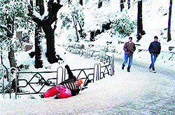 A woman skids on a slippery road in Shimla on Friday