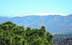 A panoramic view of the snow-capped mountains of Patnitop in Jammu