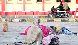 Homeless brave the chill in the open outside the railway station in Jalandhar