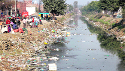 Filthy Bist Doab near Basti Bawa Khel in the Jalandhar (West) Constituency