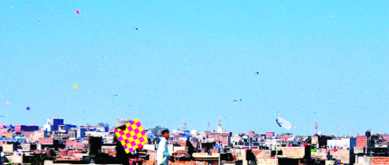 Colourful kites dot Ludhiana skies on the occasion of Lohri