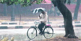 A cyclist caught in heavy rain in Sector 8, Chandigarh, on Sunday.