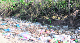 Garbage lying on the roadside in Ward No. 47. Dehradun.