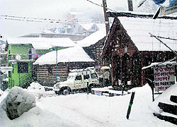 Vashisht village near Manali dons a white mantle after a fresh spell of snow on Sunday