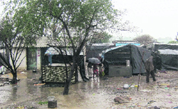 Incessant rain makes the lives of jhuggi dwellers on Nakodar Road more miserable in Jalandhar on Sunday. 