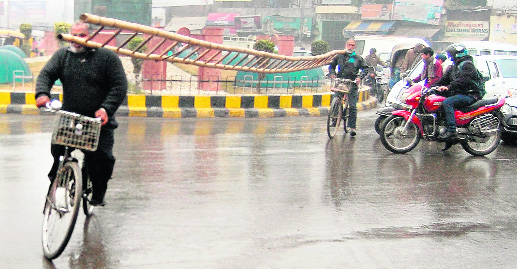 Ladder crossing: Two cyclists carry a ladder on their shoulders causing inconvenience to commuters in Amritsar. 