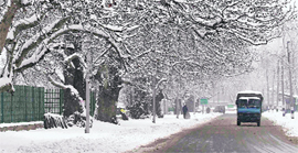 A vehicle moves on an empty road lined by trees covered with snow in Srinagar on Monday.
