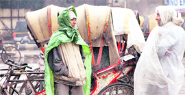 Poor rickshaw-pullers cover themselves with polythene sheets during rain in Jalandhar on Monday.