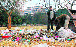 Garbage lying in front of the Punjab and Haryana Secretariat in Chandigarh