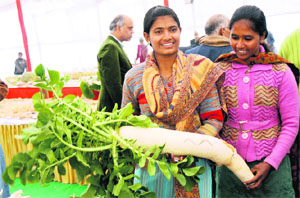 Girls display a huge radish at the first vegetable expo in Gharaunda, near Karnal, on Tuesday.