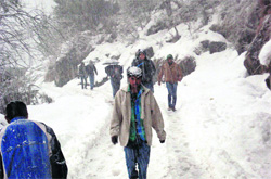 Tourists caught in a fresh spell of snowfall near Manali 