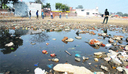 Children play cricket in a playground filled with filth in Gurunanakpura (North) in Jalandhar Central constituency