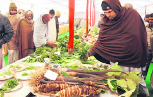 Farmers at a vegetable expo at Gharaunda, near Karnal. 