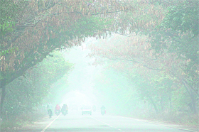 Dense fog engulfed Jalandhar early on Thursday morning, reducing visibility to almost nil and affecting normal life.
