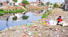 It is natural to expect the environment to become a hot political issue in view of the approaching elections