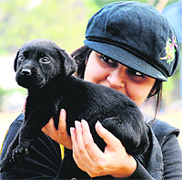 A visitor enjoys a day out with her pup at the dog show
