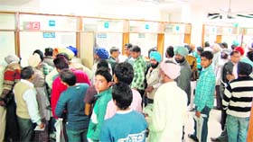 Suvidha Centres have removed harassment from chores like getting certificates