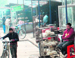 Illegal slaughterhouses at Phase-1, Industrial Area, Panchkula.
