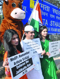 PETA activists protest against jallikattu, a game of bull fighting held in Kerala, in New Delhi on Tuesday. 