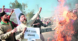 Sikh protesters burn the effigy of US television host Jay Leno over his remarks, at Karan Bagh in Jammu on Tuesday