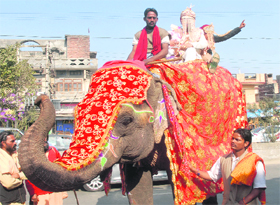 Ashu, the groom, rides an elephant to reach the marriage palace in Jalandhar.