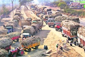 Sugarcane-loaded vehicles stranded on the Rohtak-Bhiwani highway in Anandpur Bhali village in Rohtak district on Monday