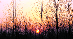 The sun sets in a village in Karnal.