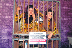 	Break free: Nigaar Khan & Gauhar Khan 