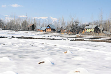 A view of the snow-covered field at Handwara tehsil in North Kashmir. 