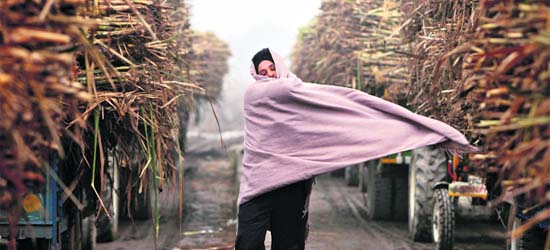 A farmer covers himself with a shawl on a cold winter day outside a sugar mill at Morinda