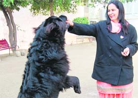 BJP candidate Navjot Kaur Sidhu with her pet dog in Amritsar