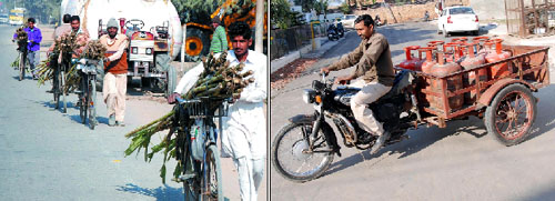 (Left) Sugarcane growers trek to the market place, carrying their produce on bicycles, to sell their stuff in Bathinda on Wednesday; Gas cylinders (right) being supplied to consumers in a modified vehicle. 