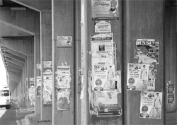 Posters pasted on the pillars of Zirakpur flyover make for an ugly sight