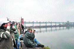 A view of Asan Barrage near Dehradun.