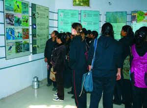 Students during an exhibition organised to mark the World Wetlands Day in Ferozepur on Thursday. A Tribune photograph