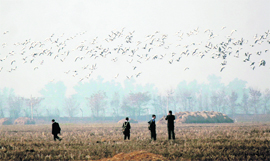 Schoolchildren visit the Gharana Wetland on the occasion of World Wetlands Day in RS Pura on Thursday.