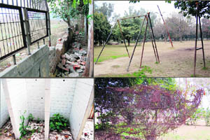 (Clockwise from top left) Broken walls, swings, unkept trees and toilets in the Chaali Khuh garden in Amritsar. 