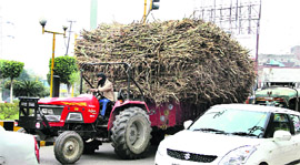 An overloaded tractor-trailer plies illegally on the Nakodar road in Jalandhar.