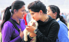 A girl cuddles a pup during the ongoing dog show at Guru Gobind Singh Stadium in Jalandhar on Sunday. Photo: Sarabjit Singh