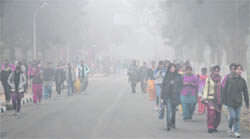 Students walk to their classrooms amid heavy fog at the Government College for Girls in Sector 11 of Chandigarh