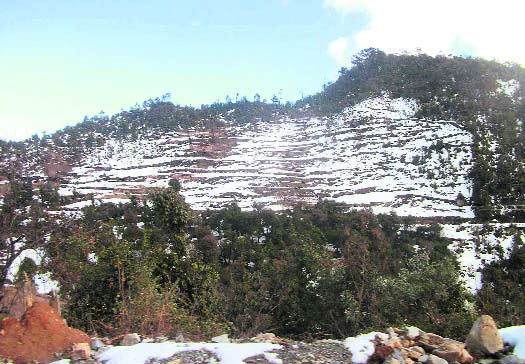 A panoramic view of Moriana top under snow cover in Dhanaulti on Monday
