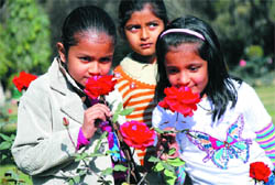 Children smell flowers at the Rose Garden. 