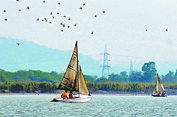 Participants make an effort to reach the finish line during the All-India Inter-University Yachting Championship organised by Punjabi University, Patiala, at the Sukhna Lake in Chandigarh on Tuesday. A total of 11 teams are participating in the meet
