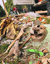 The skeleton and bones found near Sector 29 in Chandigarh